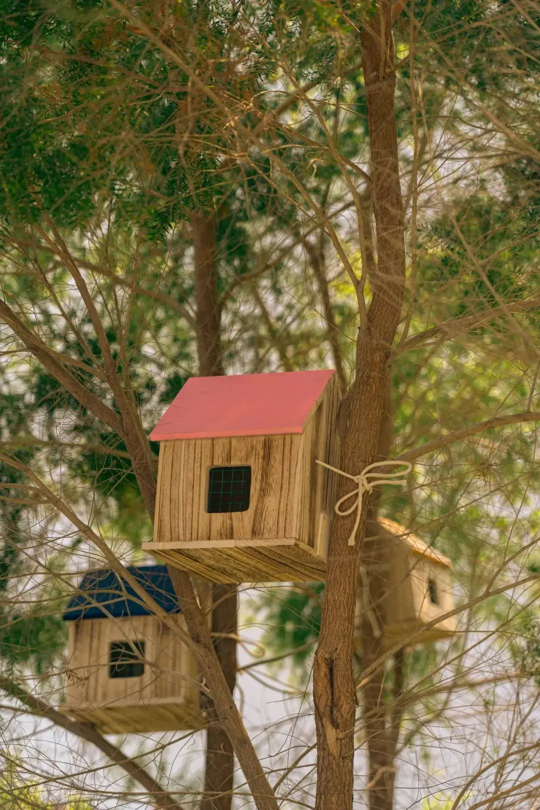 IE清理手机游戏_清理手机游戏_清理手机游戏数据可以删除吗