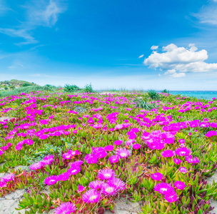 吕仙宫_吕仙宫是吕布后人吗_吕仙宫的守护灵是谁