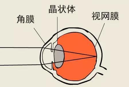 打游戏眼睛应该距手机多远_眼睛距离手机多少厘米_多远算近距离用眼