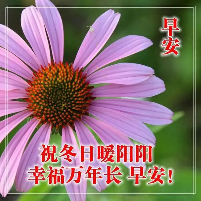 今村仁司_今村俊也_今村加奈子