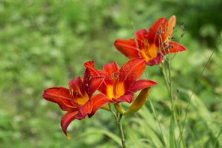 karatemaster手机游戏_手机游戏机推荐排名_手机游戏手游