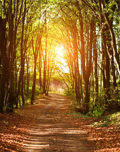 潘多拉蛇骨链_蛇骨_蛇骨链辟邪吗