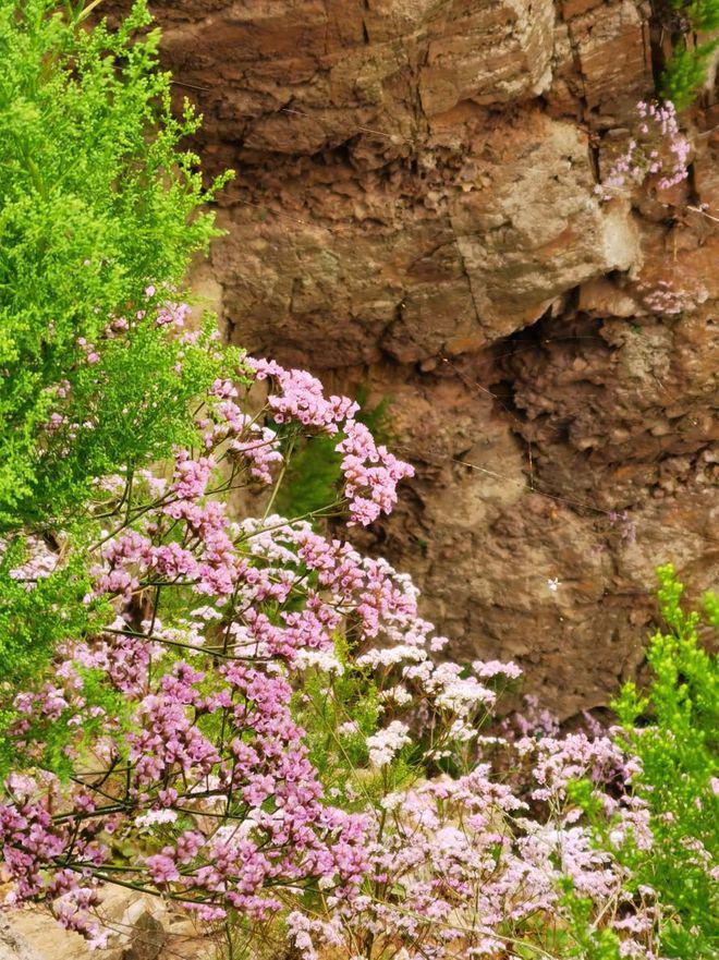 蛇骨链辟邪吗_潘多拉蛇骨链_蛇骨