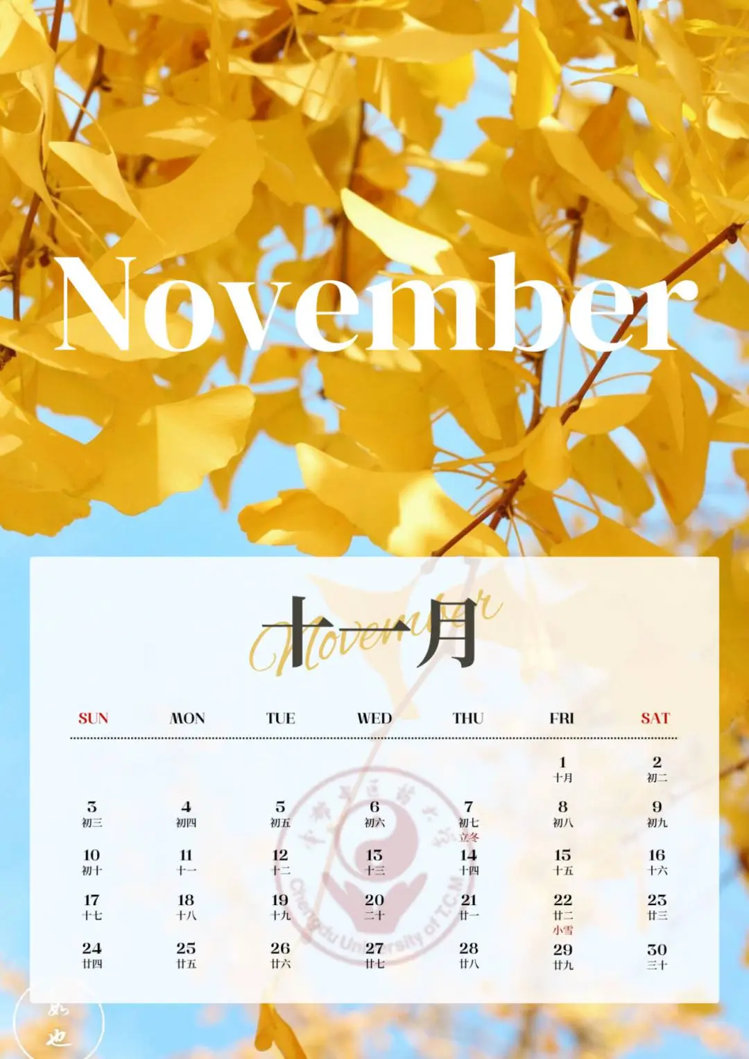 日历放假表_日历放假2025_2024放假日历