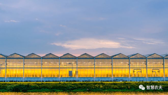 玩手机游戏用什么手机好_打游戏用什么4g手机好_4xm手机玩游戏好用吗