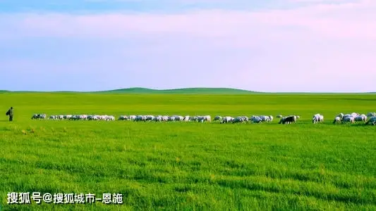 专打游戏手机多少钱_1700元手机打游戏好吗_打游戏的手机1500以内