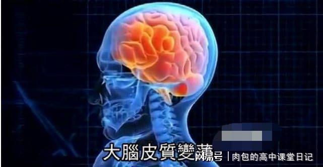 高智商手游排行榜_高智商的手游_超高智商手机游戏