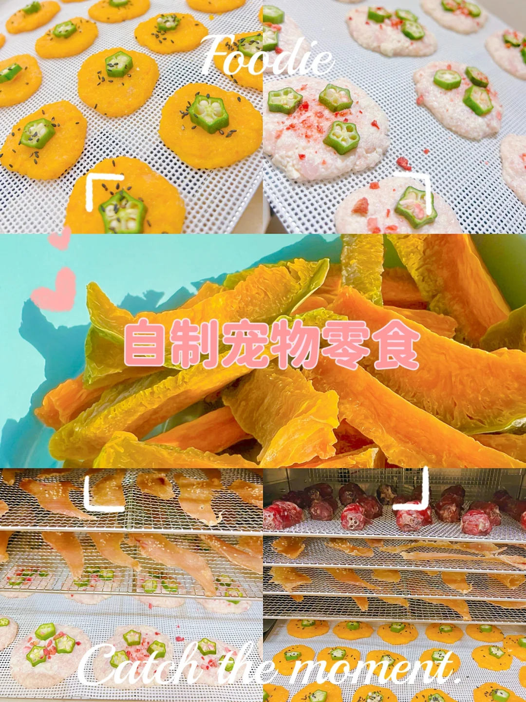 零食虫游戏原名_虫子零食游戏百度百科_虫子零食游戏下载手机版