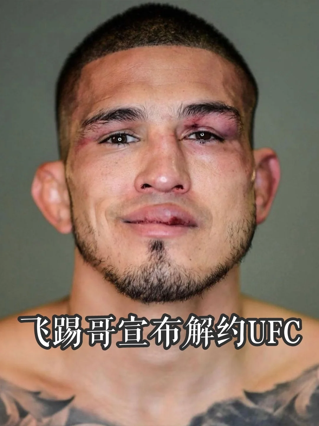 三国志单机版手机游戏_破解版手机游戏_ufc2游戏手机版