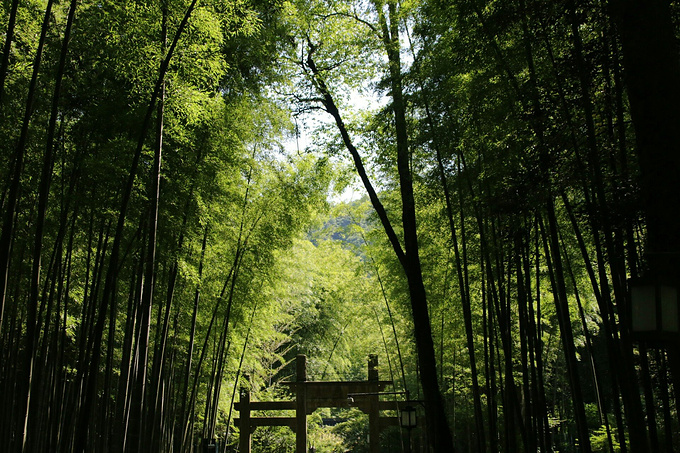 奈伊茜属于什么档次_依媛奈绪_奈绪美唱的歌