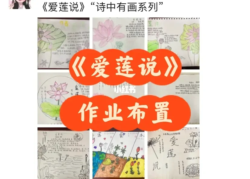 爱莲说游戏攻略20_爱莲说手机游戏_爱莲说小游戏