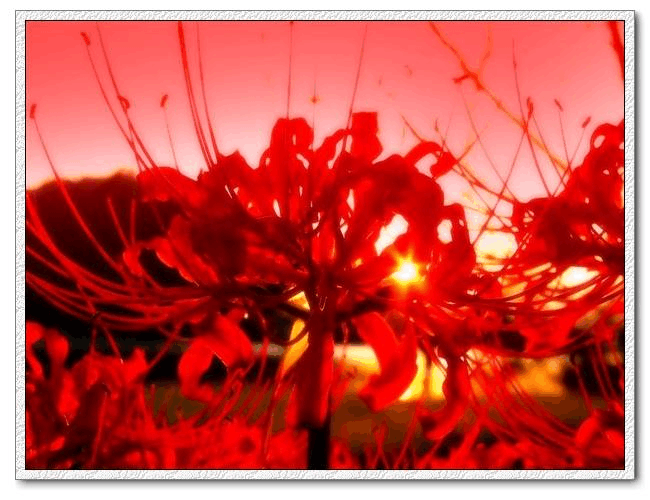 春哥传怎么看不了了_春哥传_春哥传作者默的现状