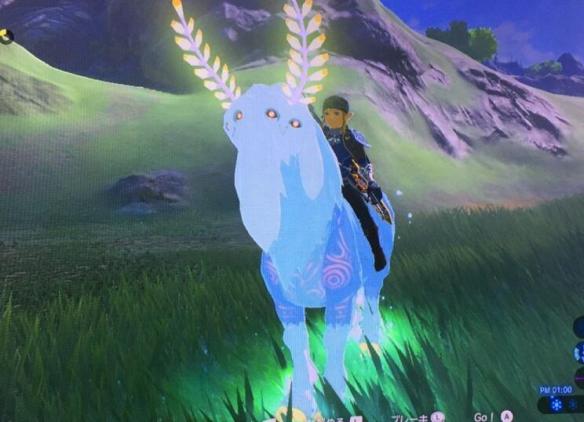 塞尔达泉之精灵在哪里_塞尔达传说大精灵之泉位置_塞尔达大精灵泉旁神庙