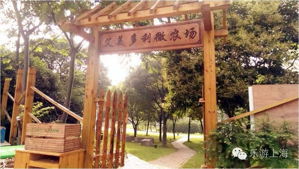 8510农场游戏手机_农场app游戏_手机农场小游戏
