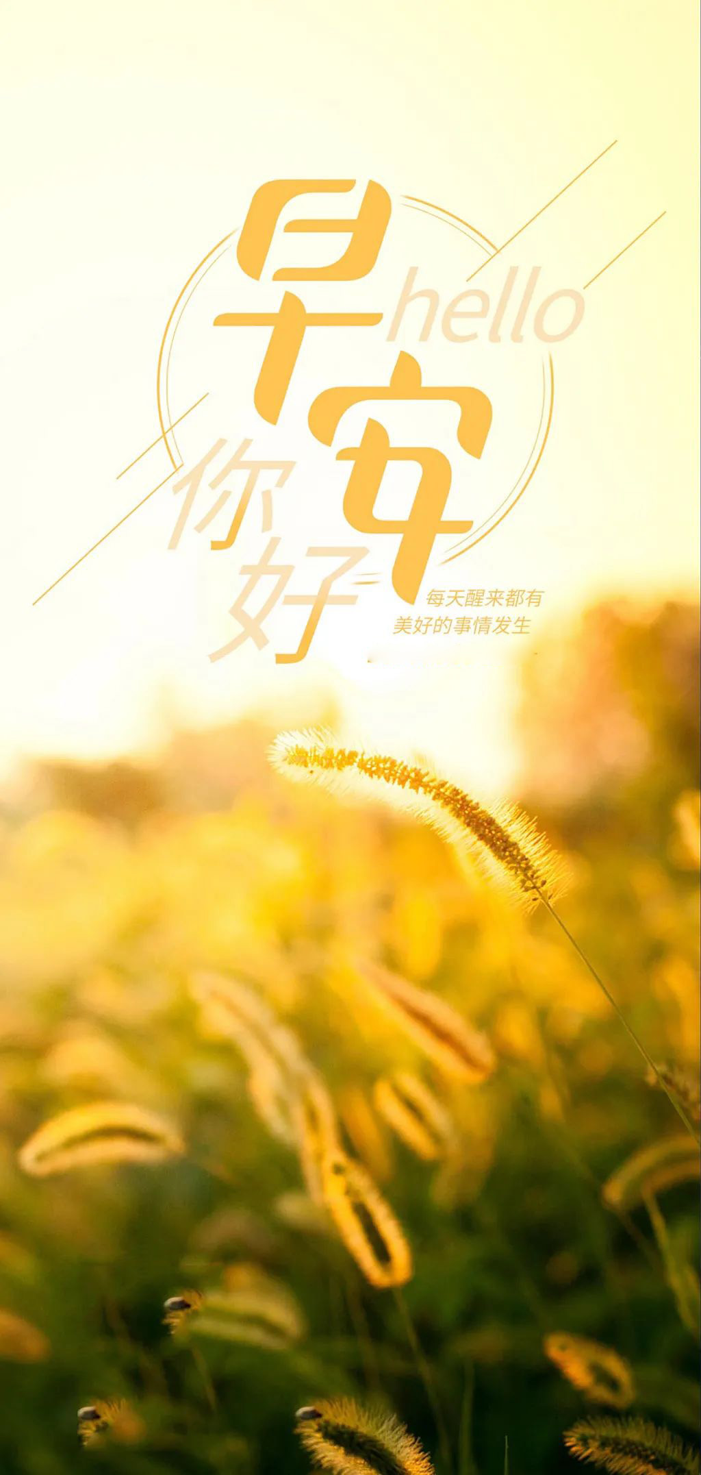 安洁莉亚试炼平民稳过详细攻略_安洁莉亚试炼攻略必过_安洁莉亚