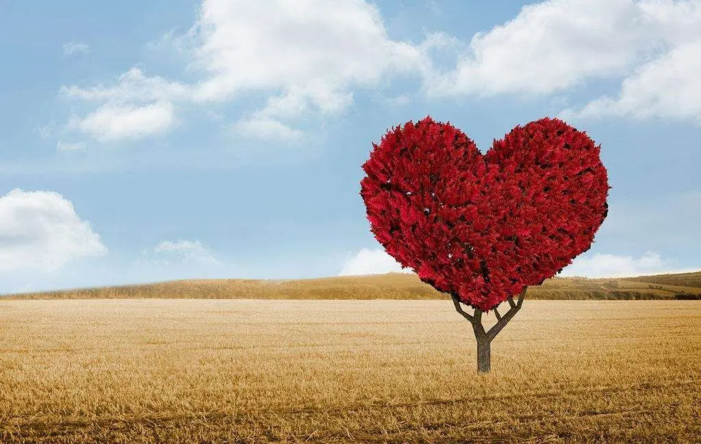 张宿_二十八星宿张_宿张煤场行