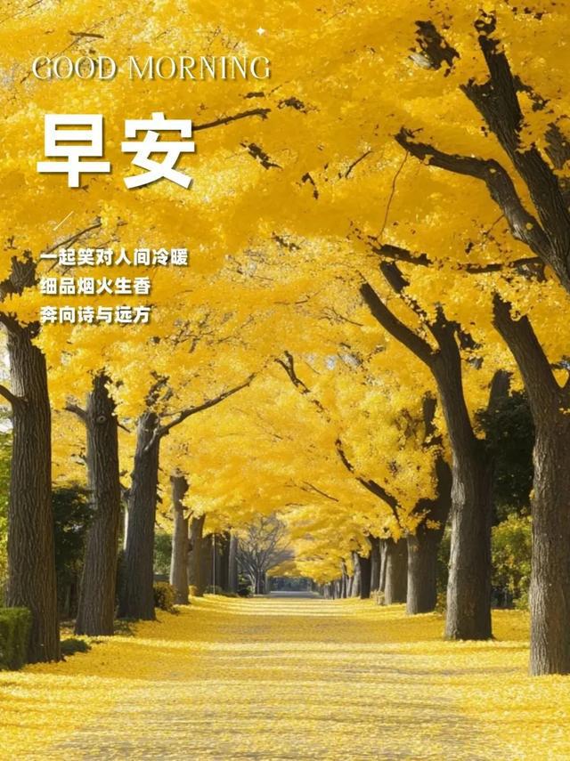 明日方舟星源_明日方舟星源档案_明日方舟星源头像
