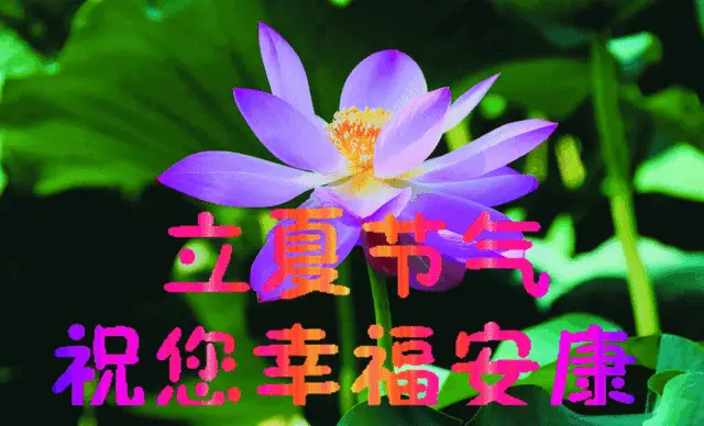 立夏的由来_立夏的由来_立夏的由来