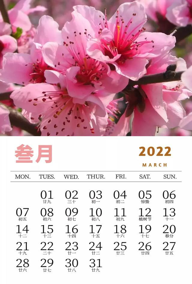日历2021月日历_2022年3月日历_日历2021月日历表图片