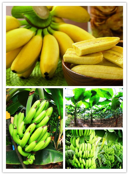 抗战电影烈火金刚_烈火金刚下电影_烈火金刚下高清在线观看