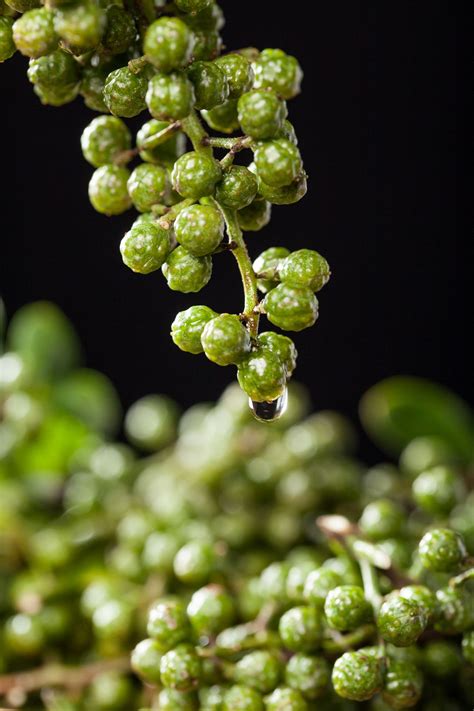 抗战电影烈火金刚_烈火金刚下电影_烈火金刚下高清在线观看