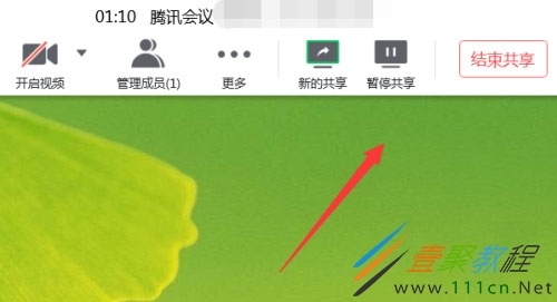 共享腾讯屏幕会议手机可以看吗_共享腾讯屏幕会议手机可以用吗_手机腾讯会议可以共享屏幕吗
