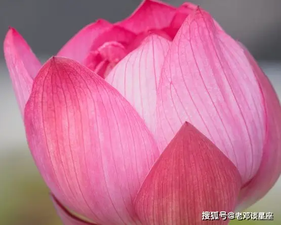 补丁狙击精英中文设置_狙击精英中文补丁_狙击精英v2汉化补丁3dm