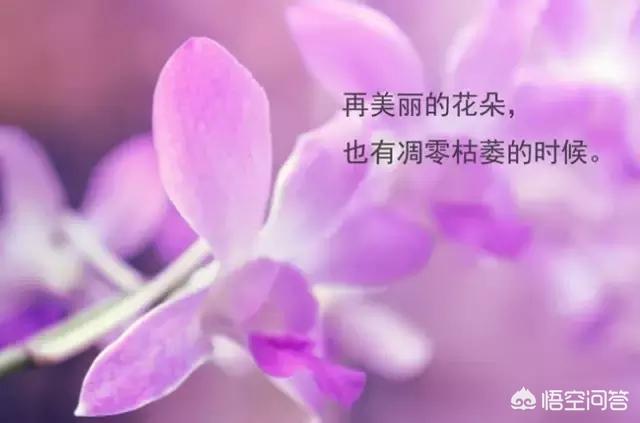 网页版微信登录入口_维信网页版_电脑网页版微信