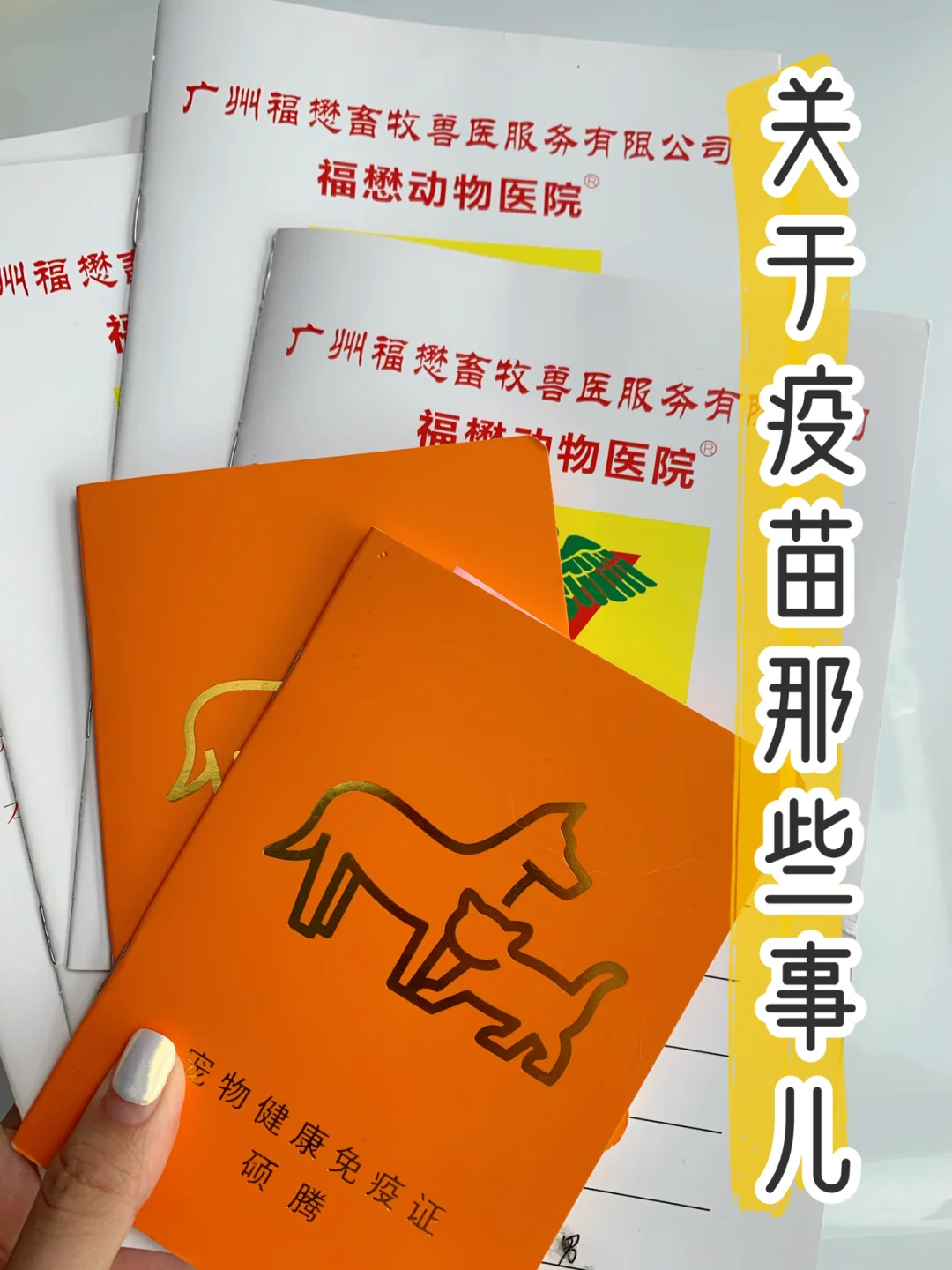 打疫苗手机游戏_在手机玩打针游戏_疫苗小游戏