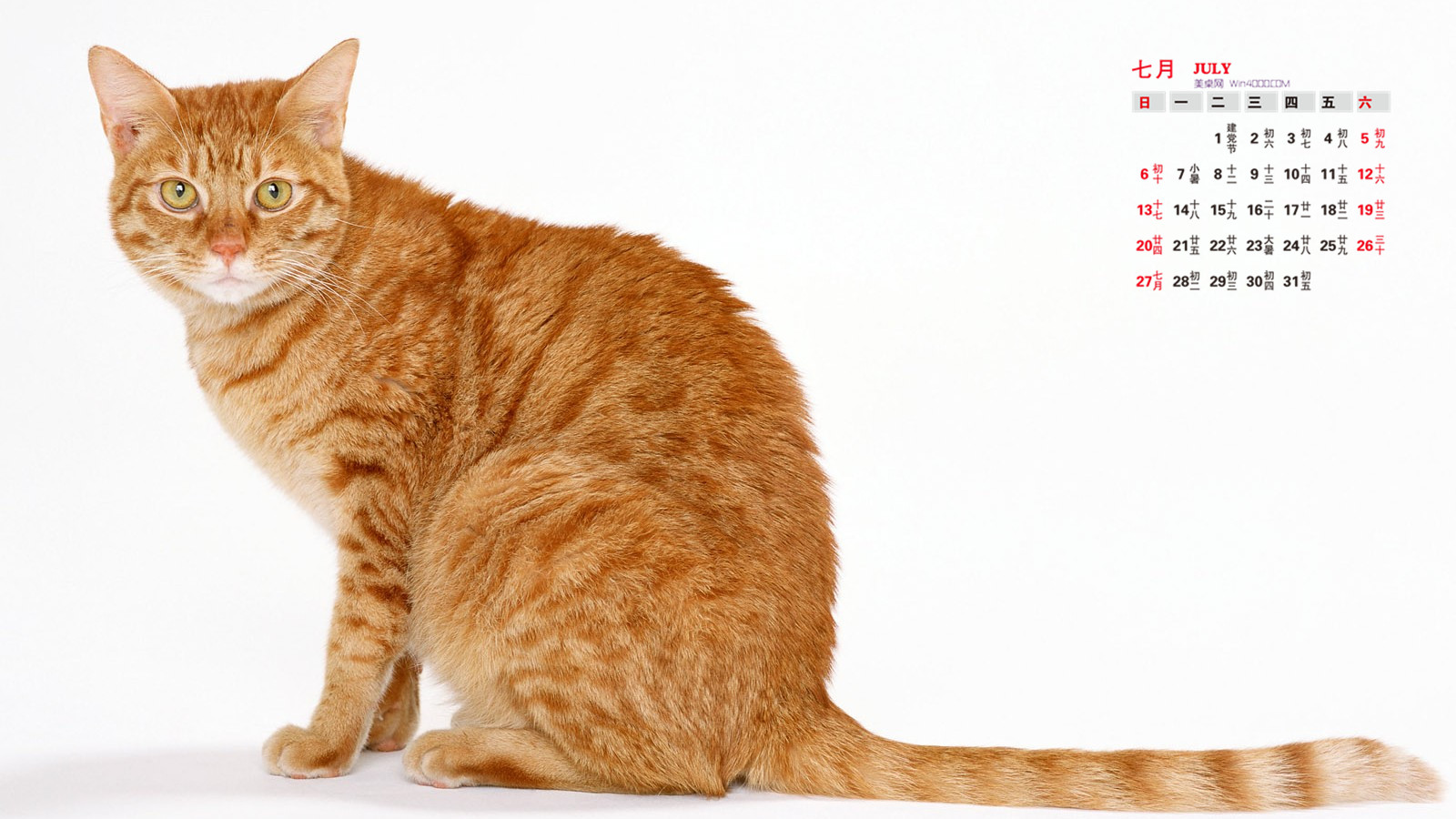 日历六月初六_六月日历_日历六月英文