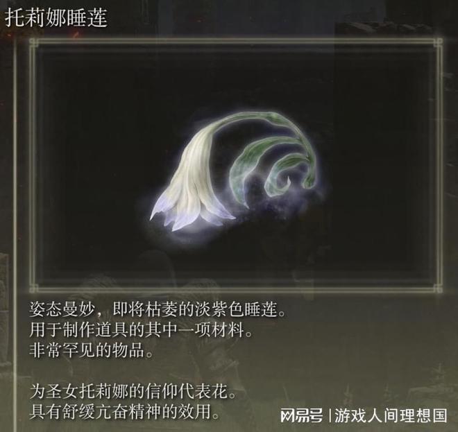 艾尔登法环米凯拉_艾尔登法环米凯拉_艾尔登法环米凯拉