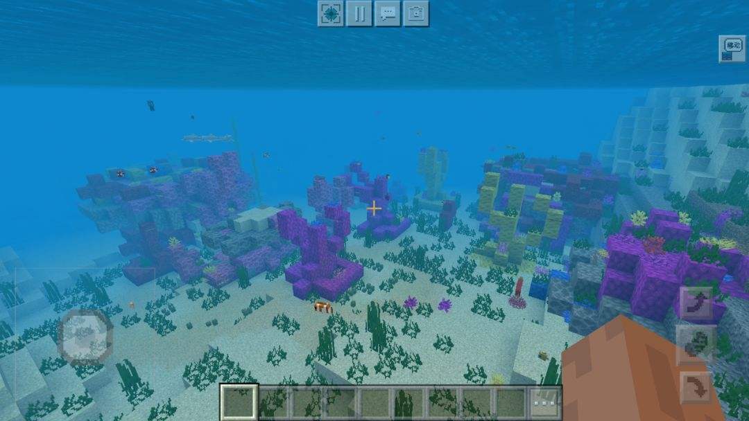 种子用薄膜盖着要多少天出牙_种子用不用泡水_bt种子怎么用