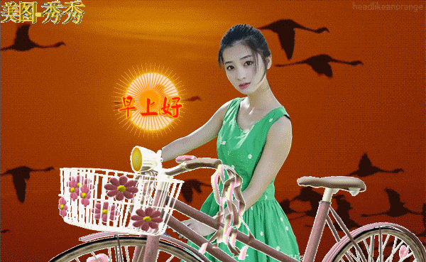 彩木花园_千本木彩花_千本木彩花身高