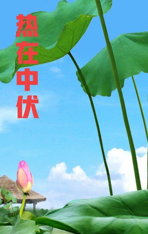 今年的头伏是哪天_今年的头伏是哪天_今年的头伏是哪天