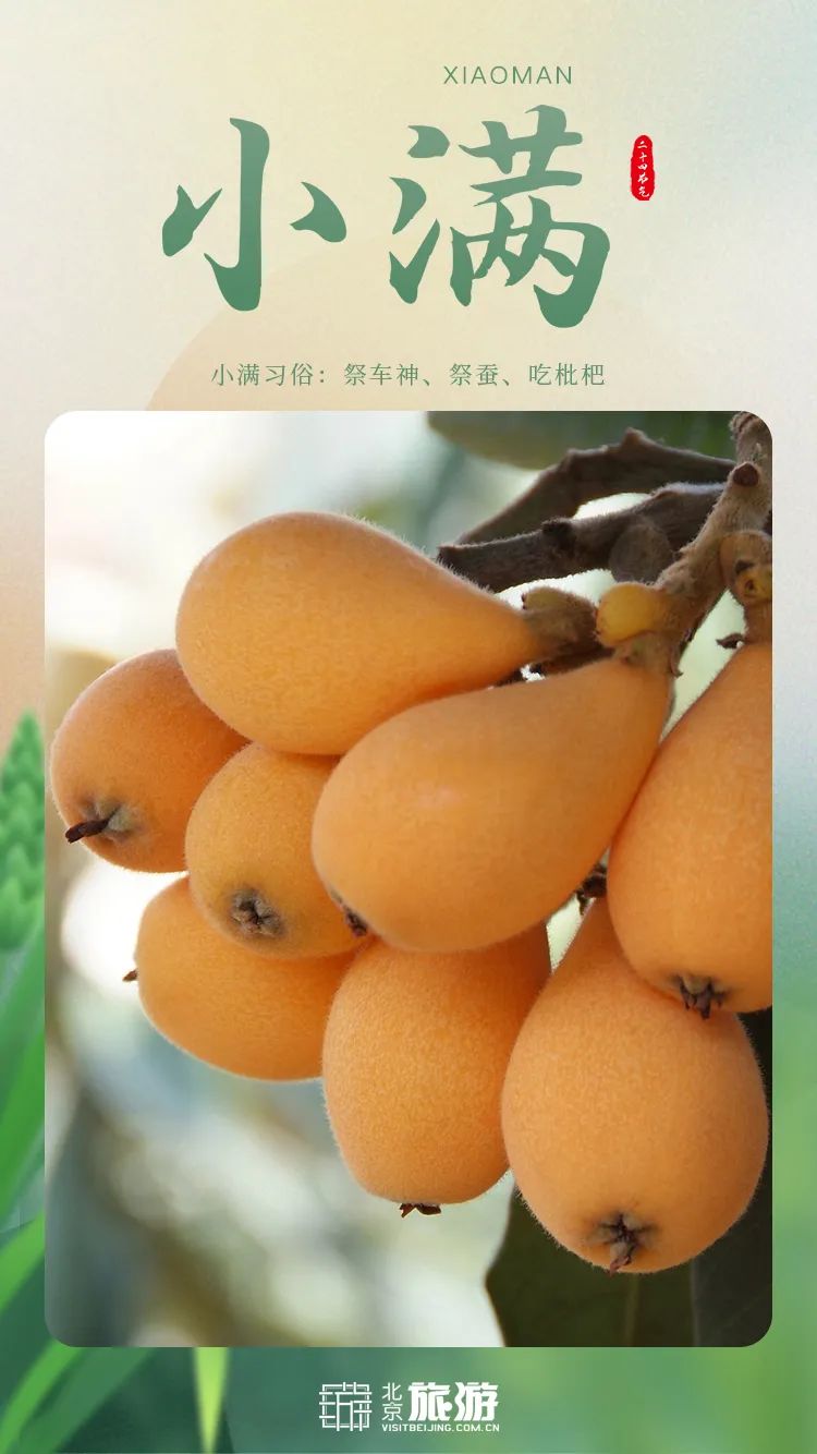 小满节气吃什么_小满节气吃什么食物养生_小满节气吃点啥