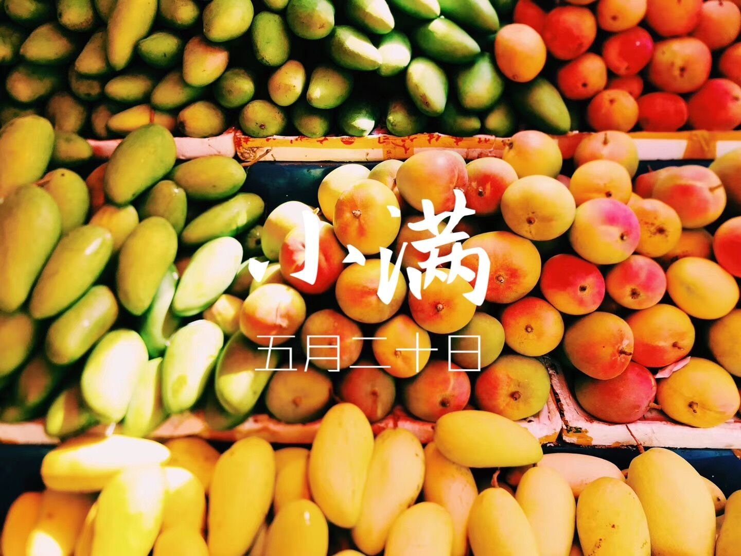 小满节气吃点啥_小满节气吃什么食物养生_小满节气吃什么