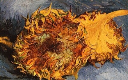 夏尔米技能_荒狂稻光之夏尔米_夏尔米必杀技