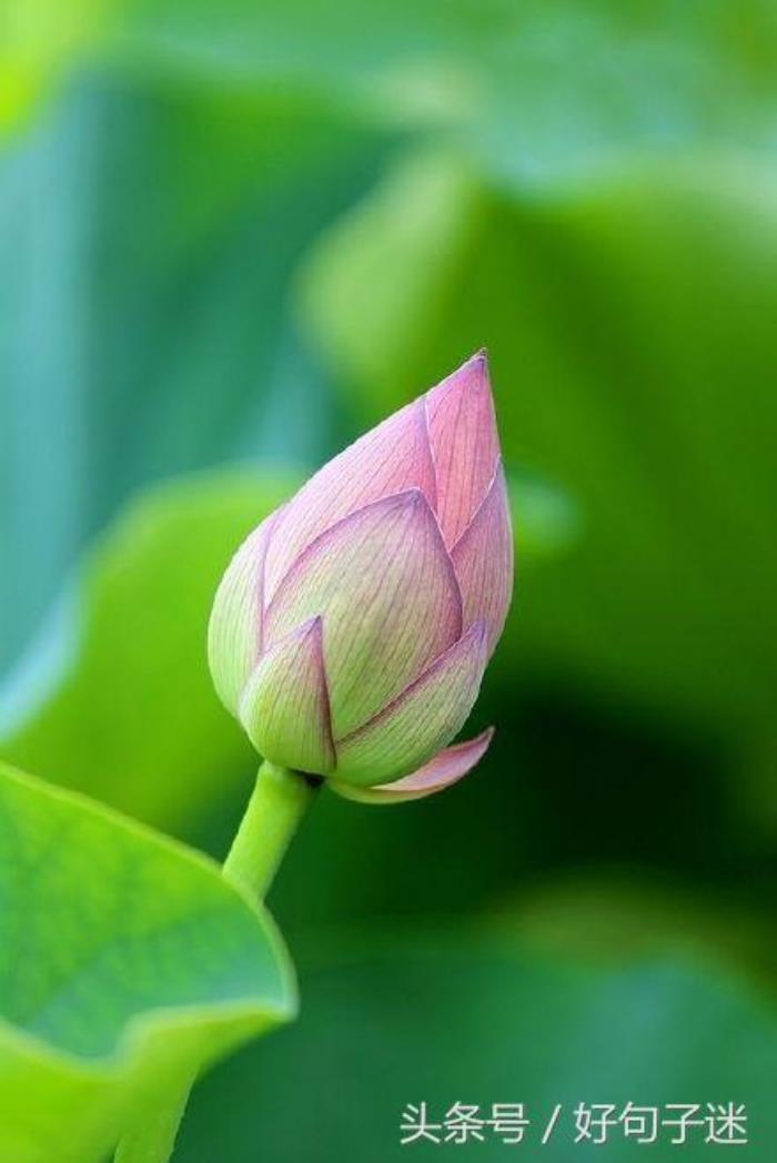 晓梦_马晓梦_晓梦宁玉