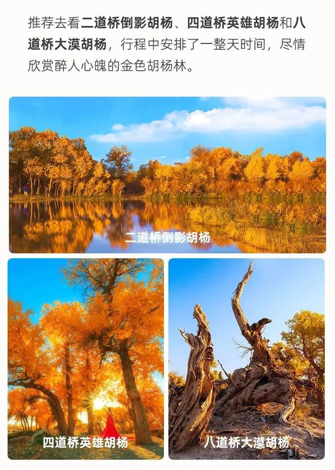 飞上天空手机游戏_天空飞船游戏_天空手机游戏