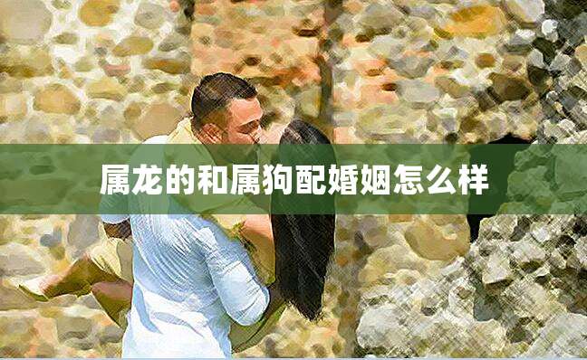 凸变英雄_凸变英雄的污图_凸变英雄动画片