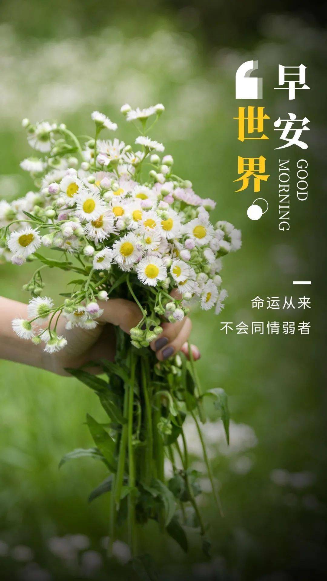 11月28日是什么日子_日月日子_月日是什么日子