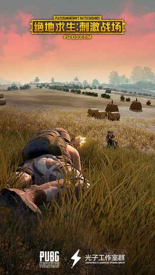 pubg手机小游戏_手机游戏小窗口模式在哪里设置_手机游戏小窗口怎么设置