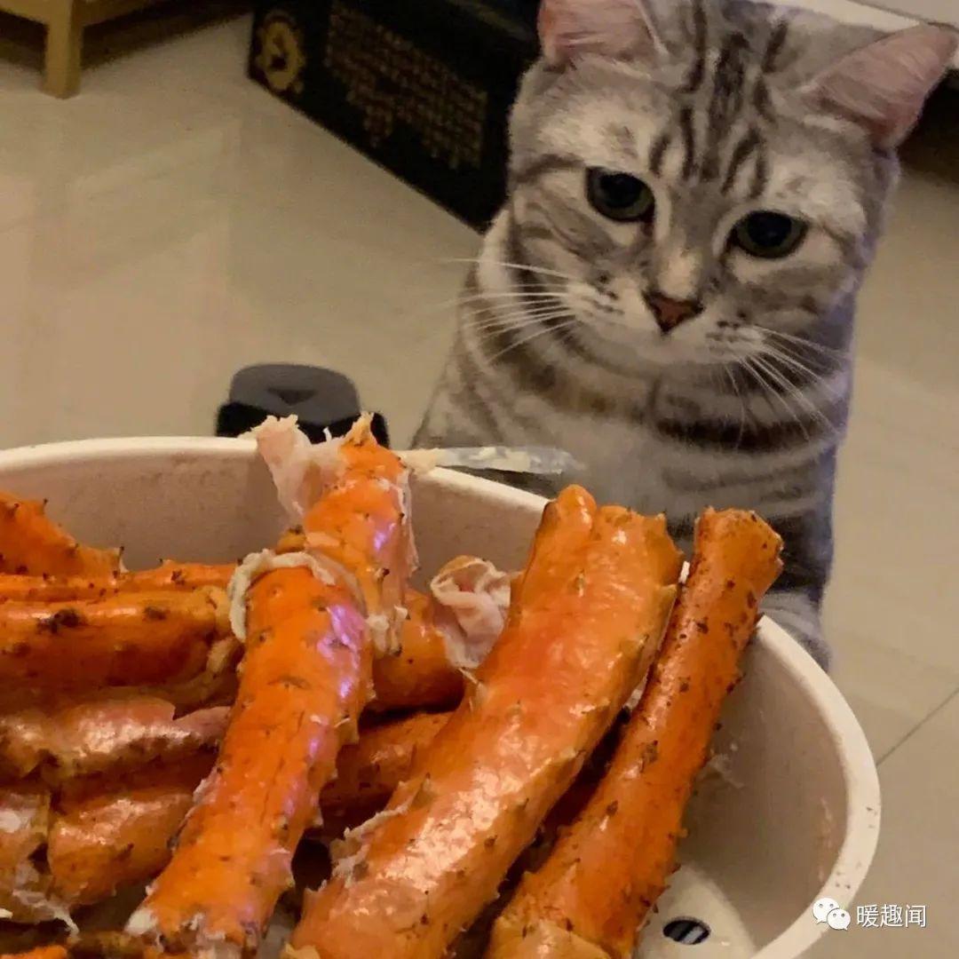 油管网官网网址_油管网页版_油管网