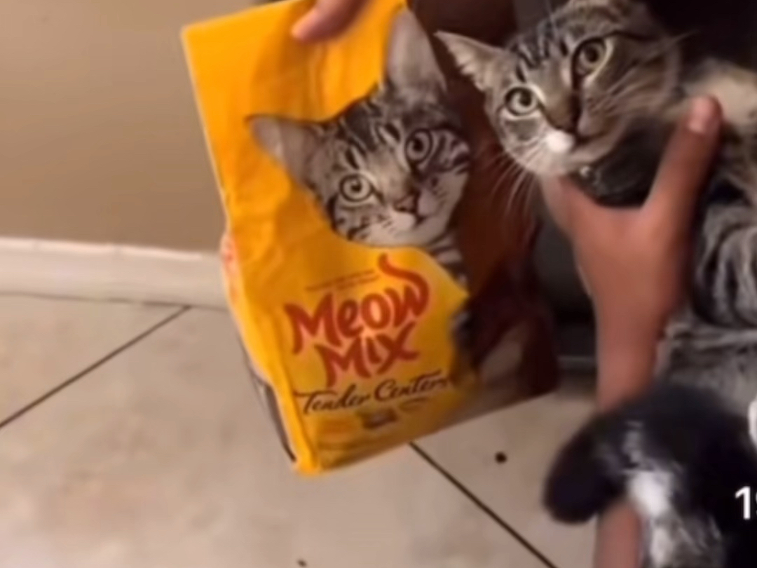 油管网页版_油管网_油管网官网网址