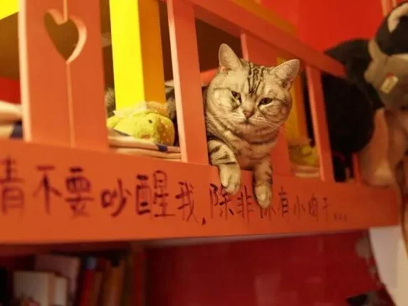 油管网_油管网页版_油管网官网网址