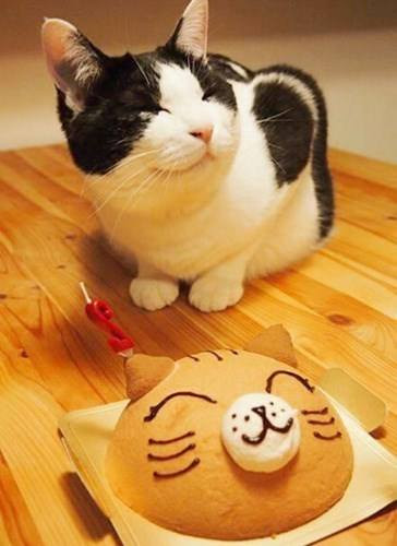 油管网页版_油管网官网网址_油管网