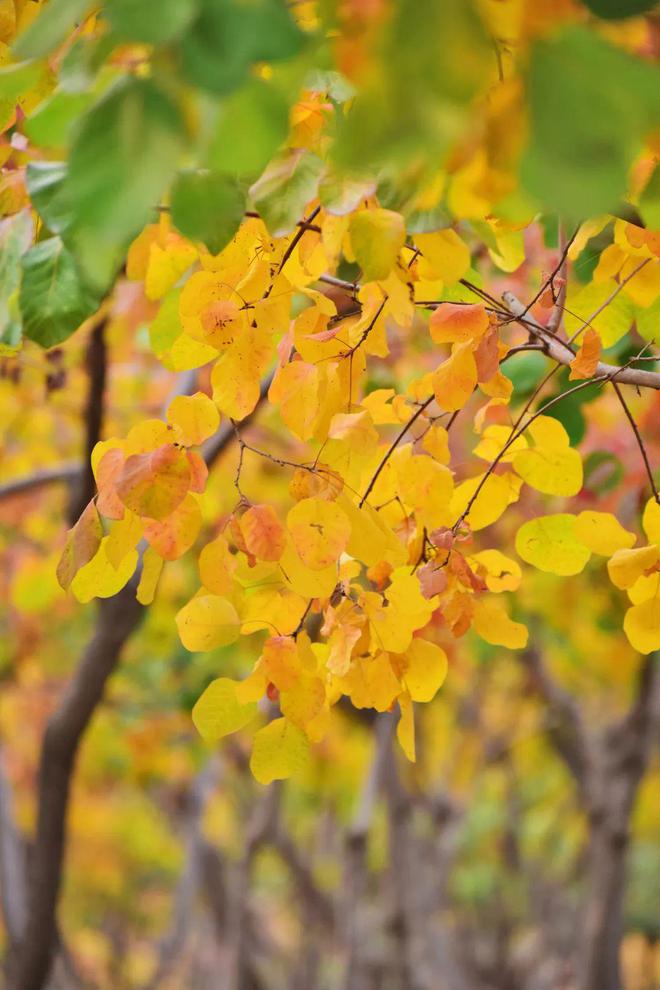 今年国庆_国庆今年多少周年_国庆今年多少年
