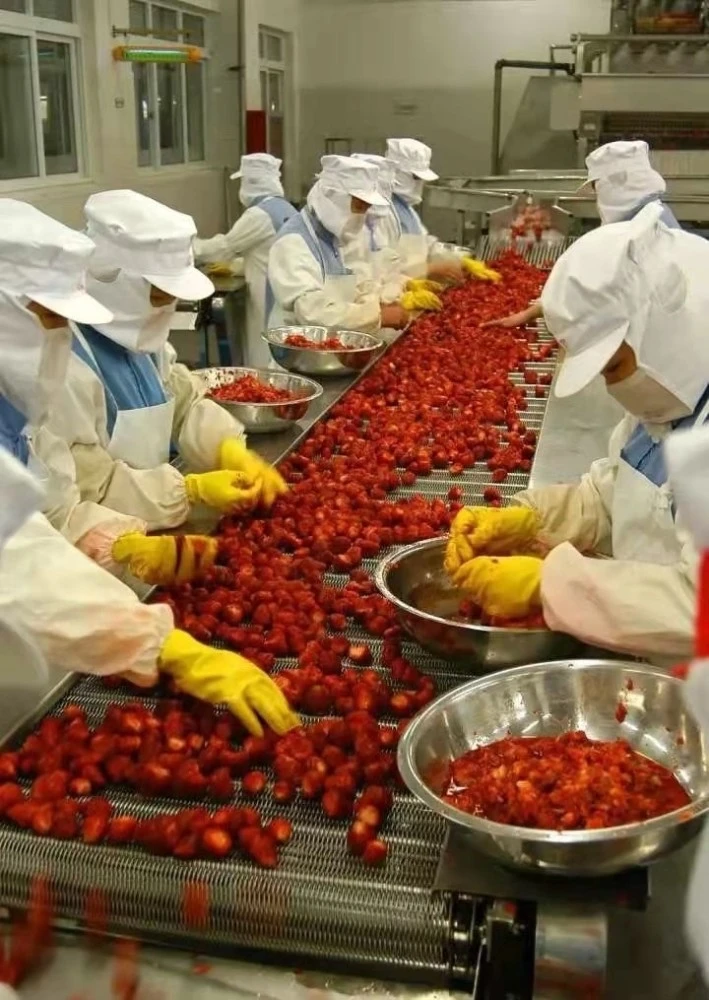 食蚁兽好吃吗_食蚁兽兽_小食蚁兽