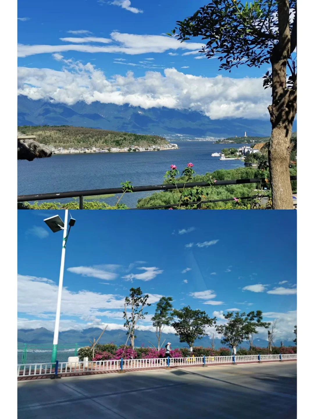 八坂真寻女装_真寻声优_真寻