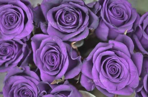 springboot循环依赖_循环依赖的解决办法_循环依赖spring